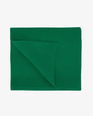 Merino Wool Scarf - Kelly Green